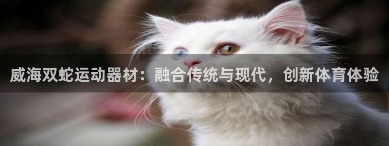 意昂体育4平台:威海双蛇运动器材:融合传统与现代,创新体育体