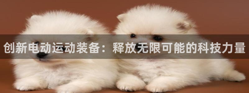 意昂4科技:创新电动运动装备:释放无限可能的科技力量