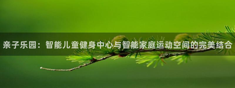 意昂4集团官网网址:亲子乐园:智能儿童健身中心与智能家庭运动