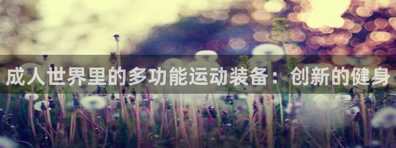 意昂4集团官网首页:成人世界里的多功能运动装备:创新的健身