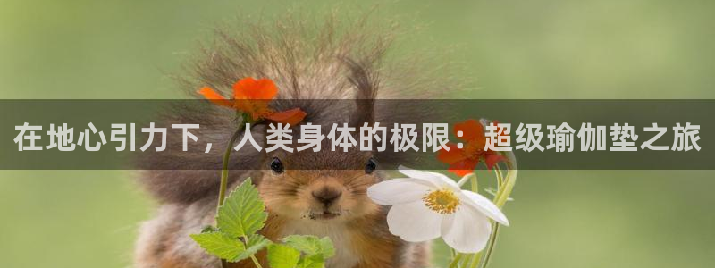 意昂4娱乐代理怎么样:在地心引力下,人类身体的极限:超级瑜伽